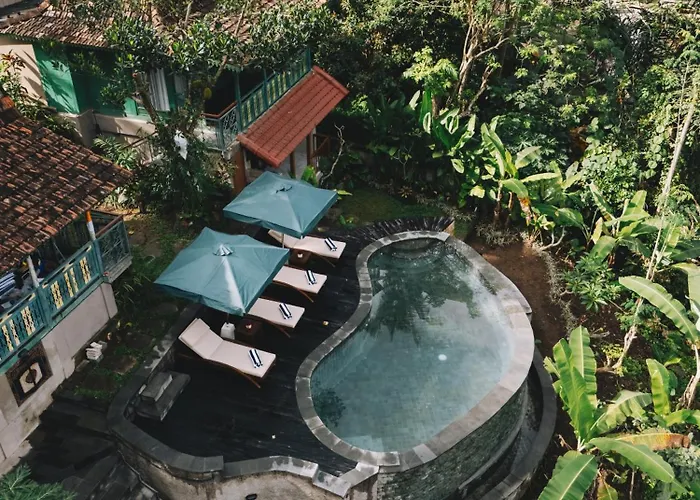 Orman Evi Sokwayah Jungle & Retreat Ubud