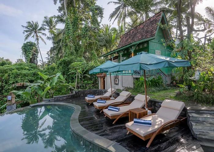 ロッジ Sokwayah Jungle & Retreat