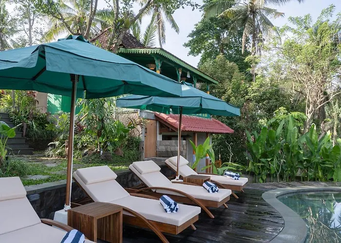 Sokwayah Jungle & Retreat * ウブド