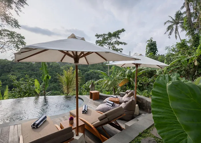 Sokwayah Jungle & Retreat