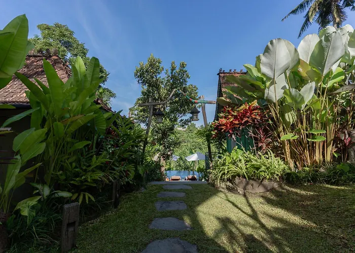 Sokwayah Jungle & Retreat