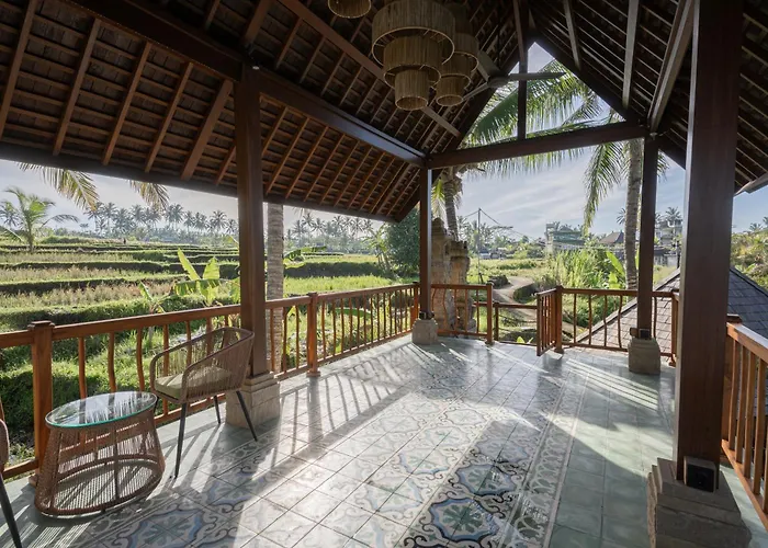 Sokwayah Jungle & Retreat