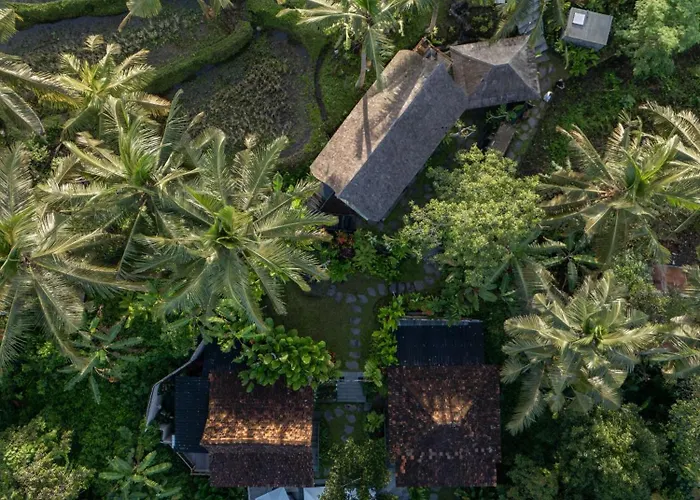 ロッジ Sokwayah Jungle & Retreat