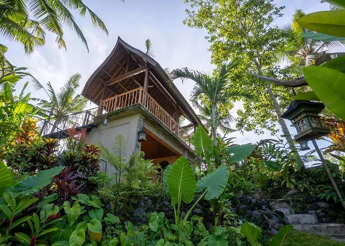 ロッジ Sokwayah Jungle & Retreat *