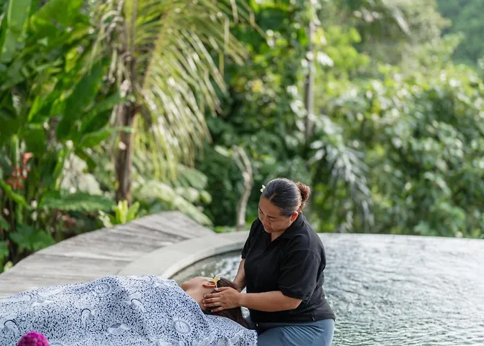 Sokwayah Jungle & Retreat