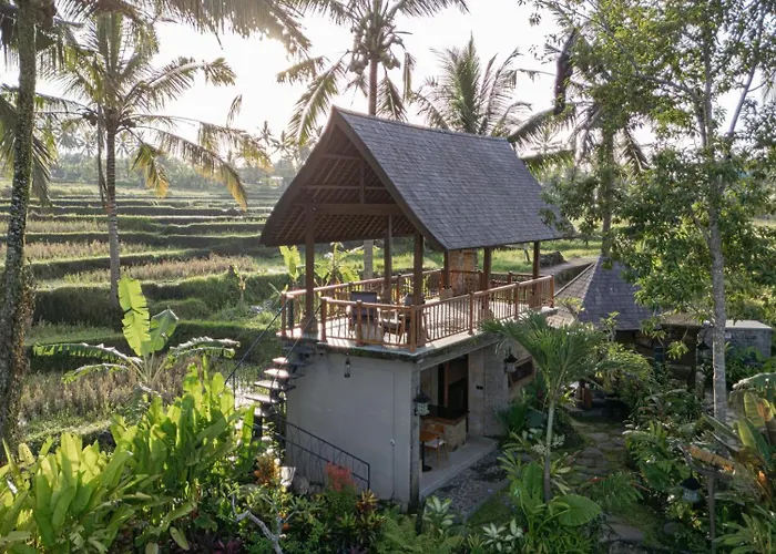 Sokwayah Jungle & Retreat