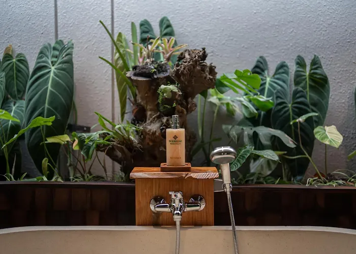 Orman Evi Sokwayah Jungle & Retreat *