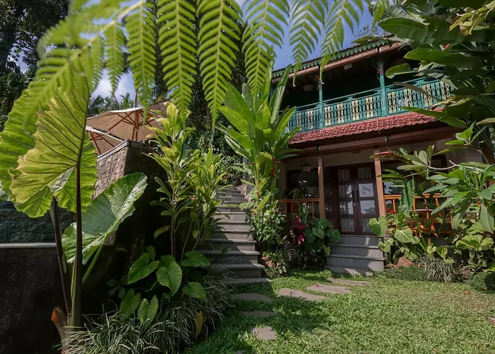 Orman Evi Sokwayah Jungle & Retreat *